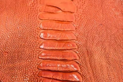 UROK手工鞋 鸵鸟皮珍稀皮革知多少？